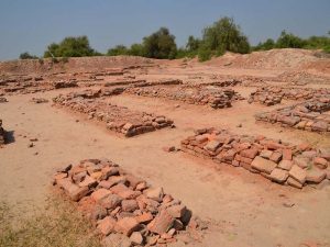 harappa-1